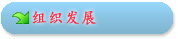 组织发展