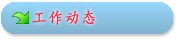 工作动态